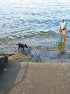 East Harbor State Park Dog Friendly Beach