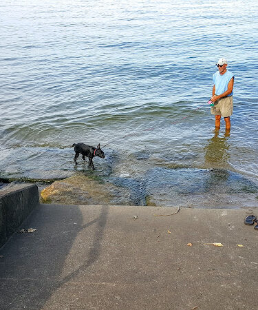 East Harbor State Park Dog Friendly Beach