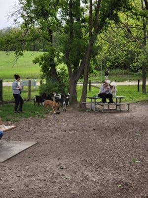 Ritter Farm Dog Park