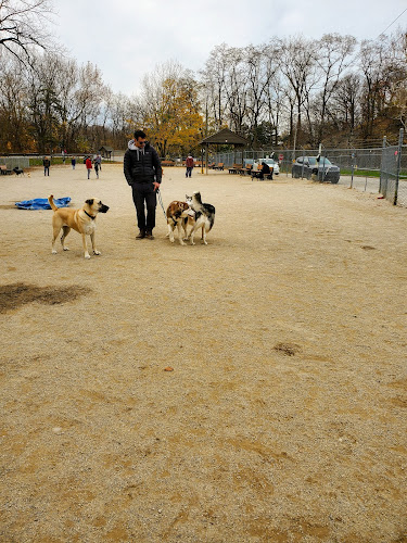 Lakewood Dog Park