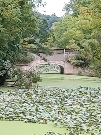 Scenic Park - Metroparks - Lakewood, OH