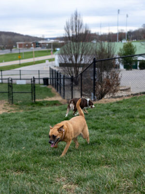 Fairfield Area Humane Society Public Dog Park