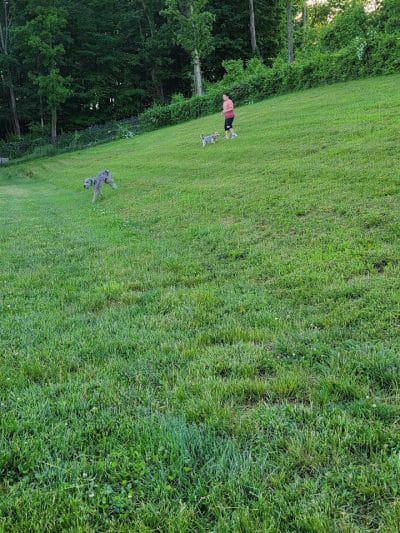 Fairfield Area Humane Society Public Dog Park - Lancaster, OH