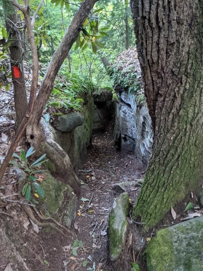 Rhododendron Cove State Nature Preserve - Lancaster, OH