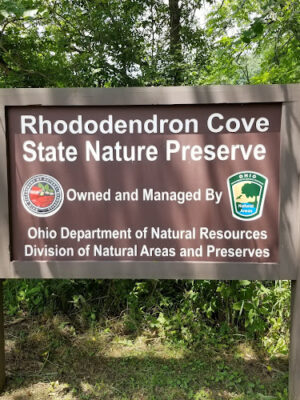 Rhododendron Cove State Nature Preserve