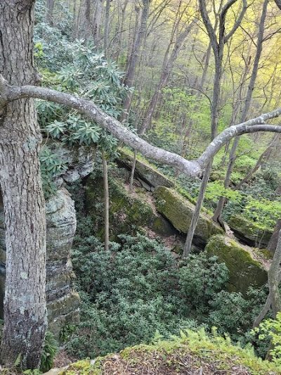 Rhododendron Cove State Nature Preserve - Lancaster, OH