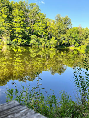 Cave Lake Park