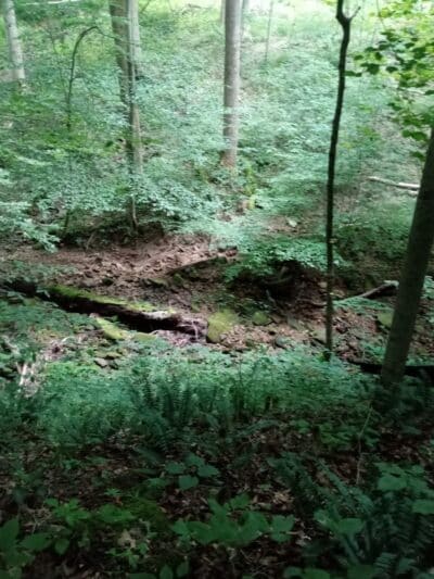 Pike State Forest - Latham, OH