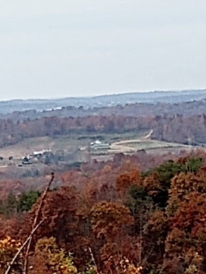 Pike State Forest
