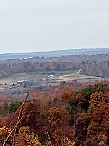 Pike State Forest
