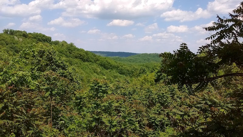 Pike State Forest - Latham, OH