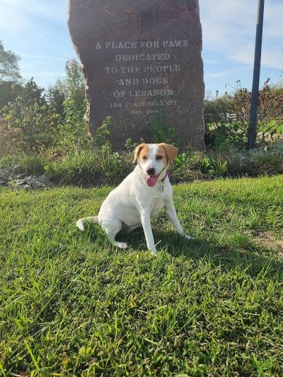 Ida Juris Bennett Dog Park - Lebanon, OH