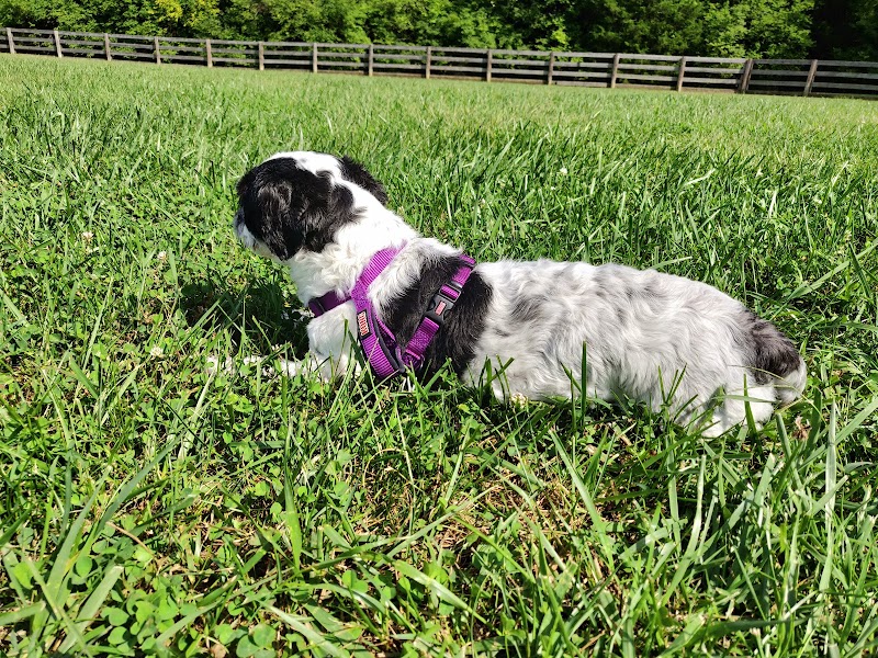 Ida Juris Bennett Dog Park - Lebanon, OH