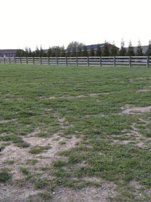 Ida Juris Bennett Dog Park