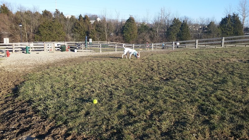 Ida Juris Bennett Dog Park - Lebanon, OH