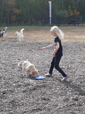 Friend Lee Pets Dog Park
