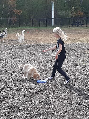 Friend Lee Pets Dog Park