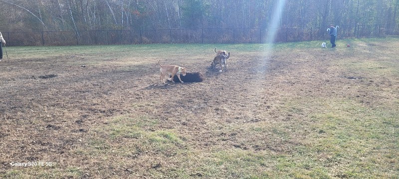 Friend Lee Pets Dog Park - Lee, NH