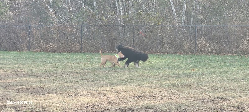 Friend Lee Pets Dog Park - Lee, NH
