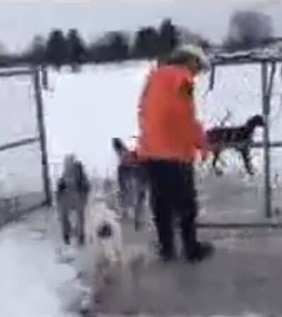 Hazey Acres K9 Boarding - Leetonia, OH