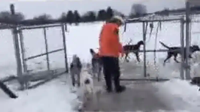 Hazey Acres K9 Boarding - Leetonia, OH