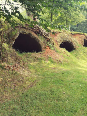 Leetonia Beehive Coke Ovens Park