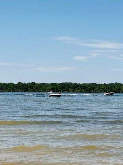 Alum Creek State Park Beach - Lewis Center, OH