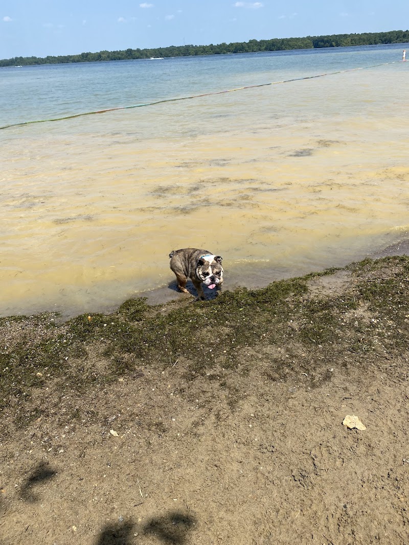Friends of Alum Creek Dog Park - Lewis Center, OH