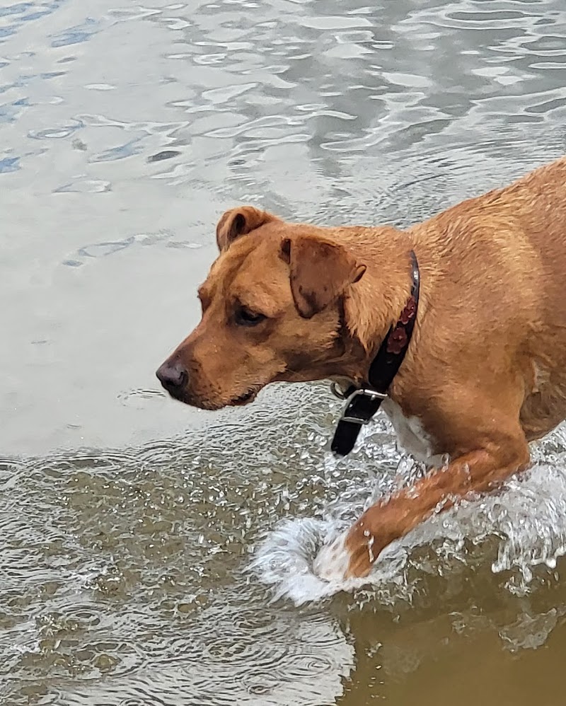 Friends of Alum Creek Dog Park - Lewis Center, OH