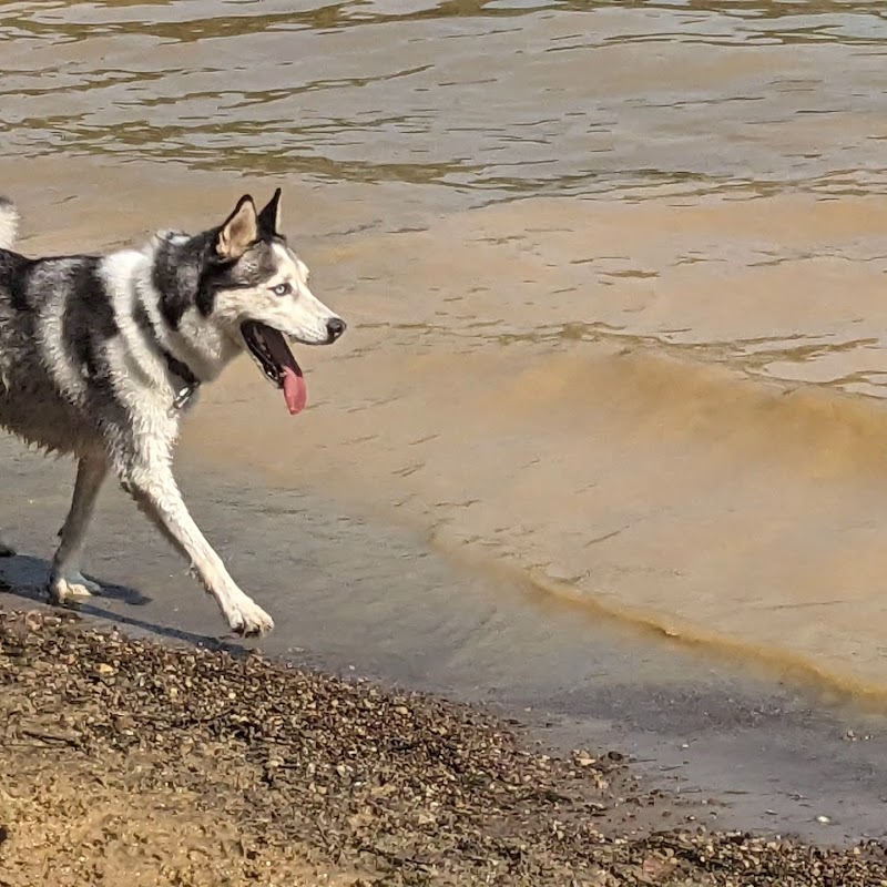 Friends of Alum Creek Dog Park - Lewis Center, OH