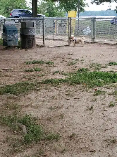 Friends of Alum Creek Dog Park - Lewis Center, OH