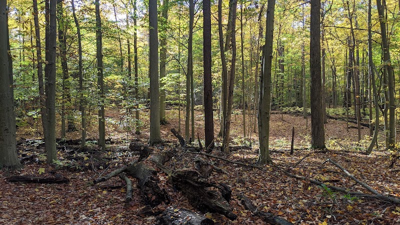 Highbanks Metro Park Multi-Use Trail - Lewis Center, OH