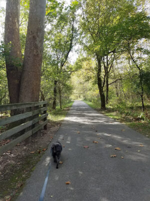 Highbanks Metro Park Multi-Use Trail