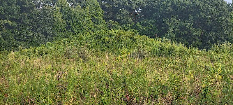 Highbanks Park Mound I - Lewis Center, OH