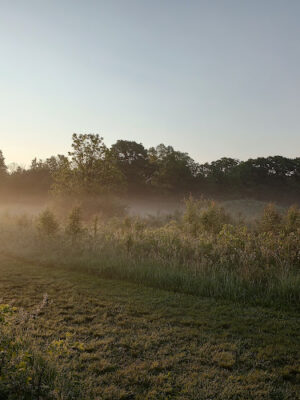 Highbanks Park Mound I