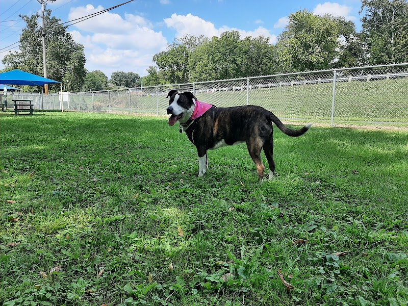 Lewisburg Dog Park by Royal Canin - Lewisburg, OH