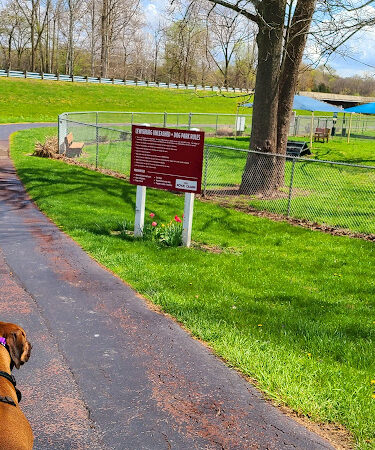 Lewisburg Dog Park by Royal Canin