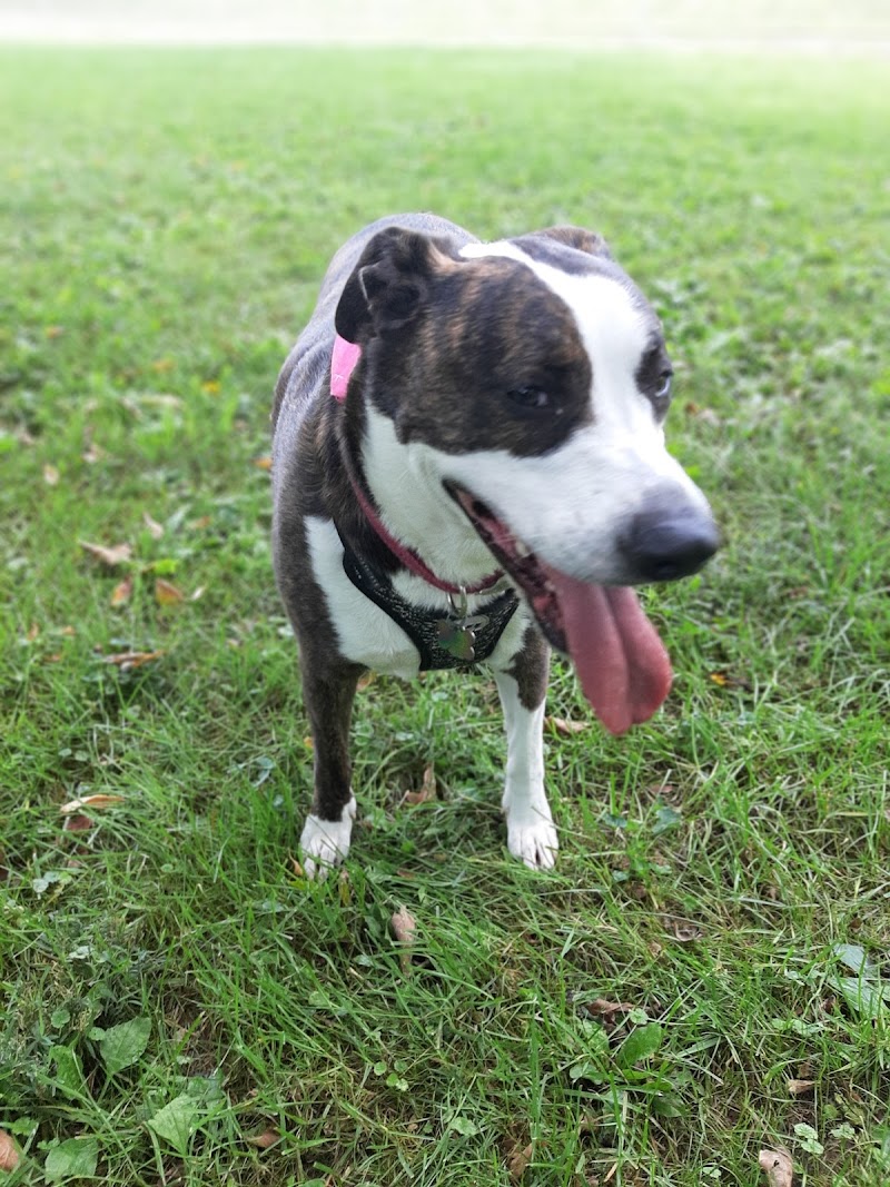 Lewisburg Dog Park by Royal Canin - Lewisburg, OH