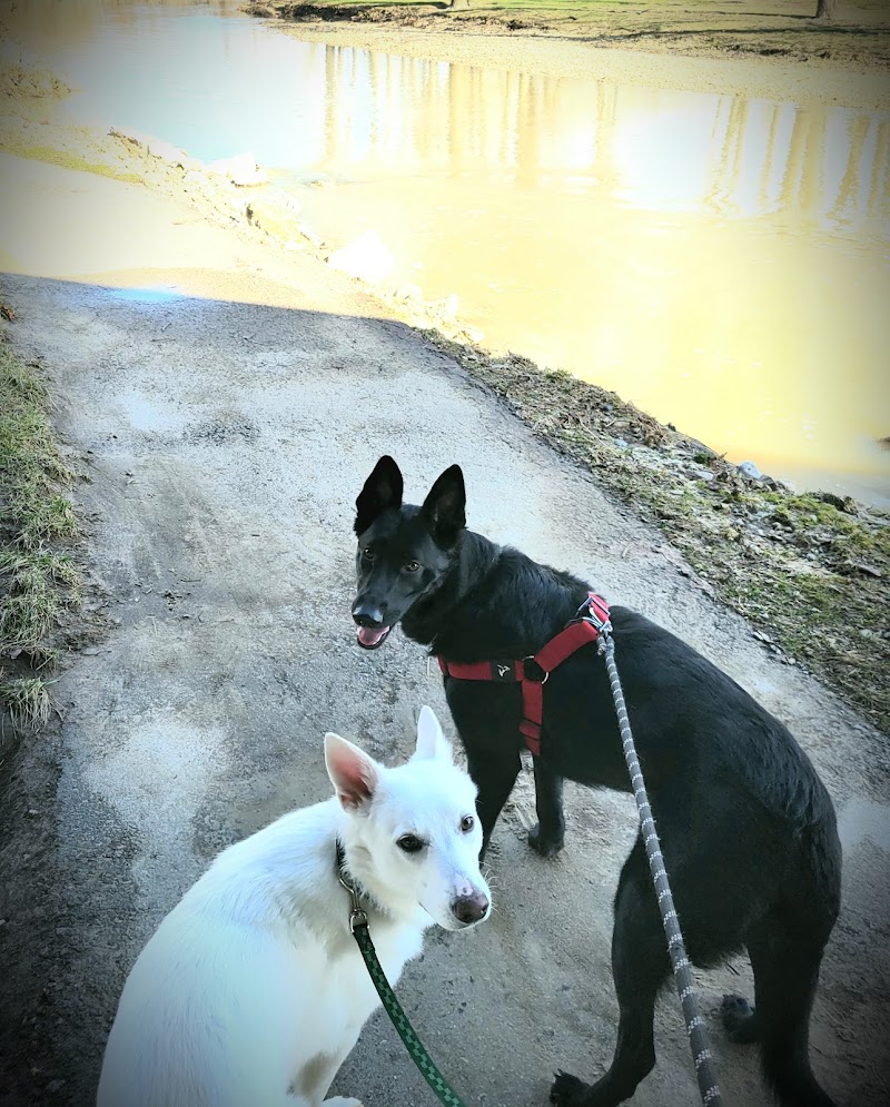 Lewisburg Dog Park by Royal Canin - Lewisburg, OH