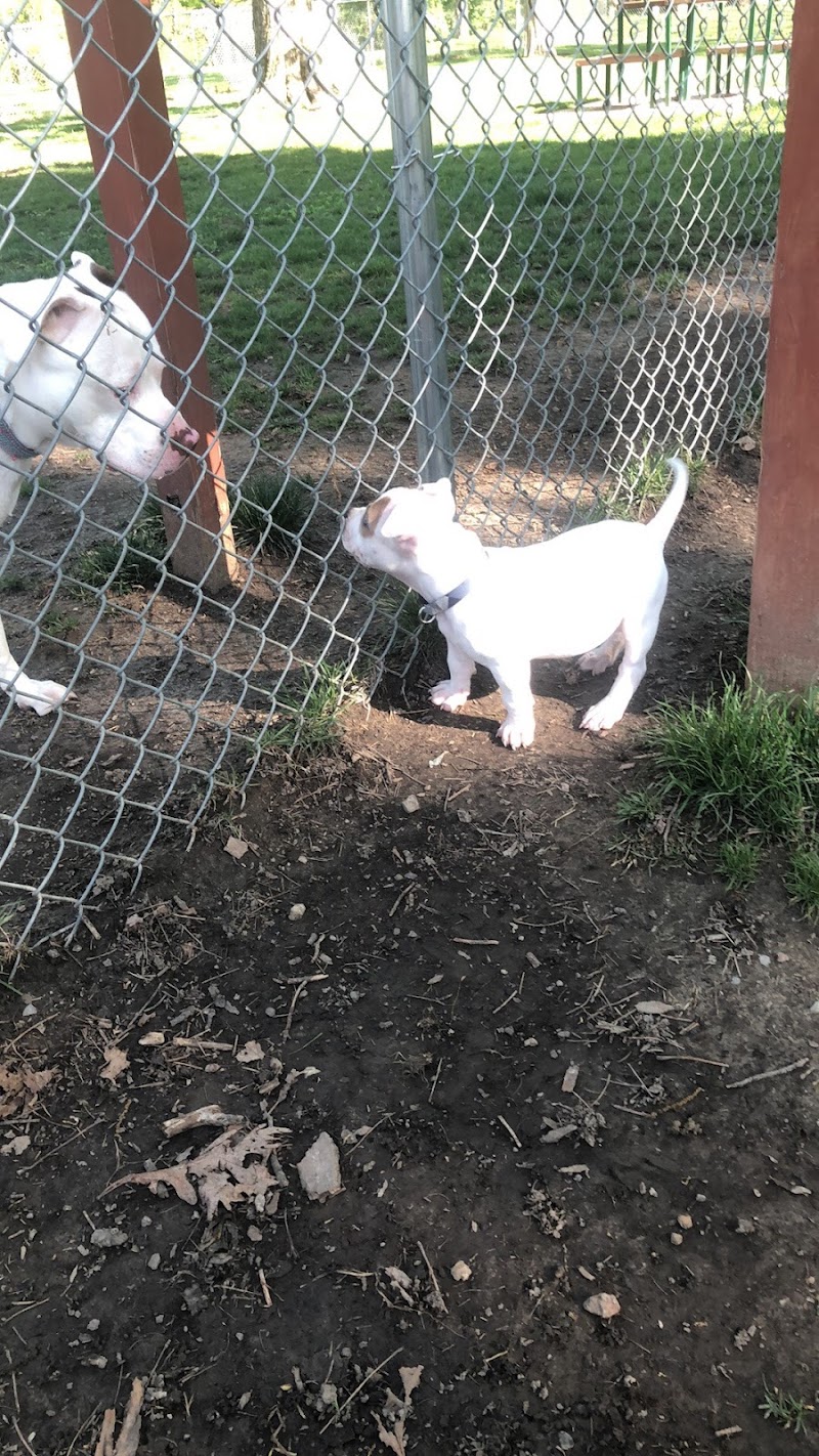 Lewisburg Dog Park by Royal Canin - Lewisburg, OH