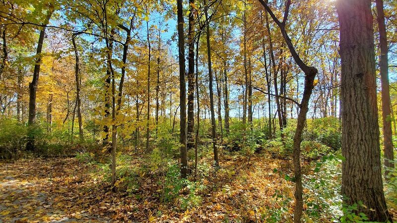 Hermon Woodlands - Lima, OH