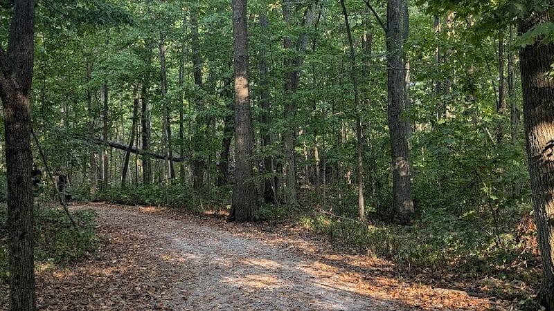 Hermon Woodlands - Lima, OH