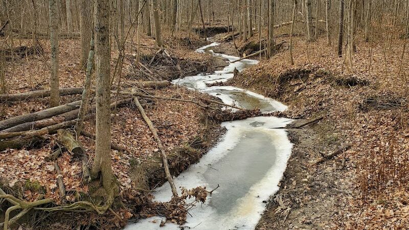 Hermon Woodlands - Lima, OH
