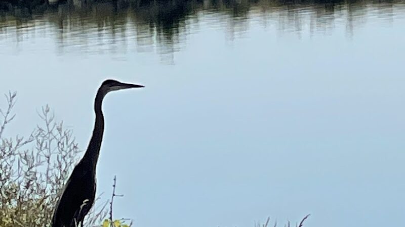 Lima Bresler Reservoir - Lima, OH