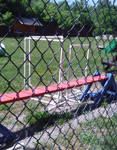 Lima Dog Park