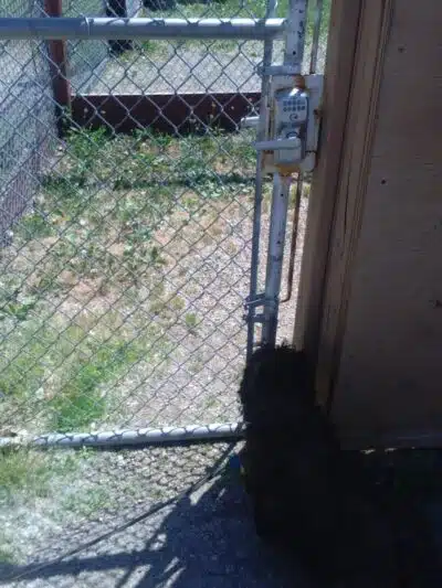 Lima Dog Park - Lima, OH
