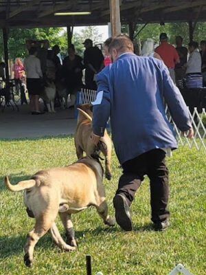Lima Kennel Club Show Grounds