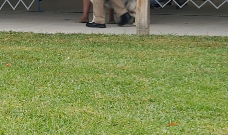 Lima Kennel Club Show Grounds - Lima, OH