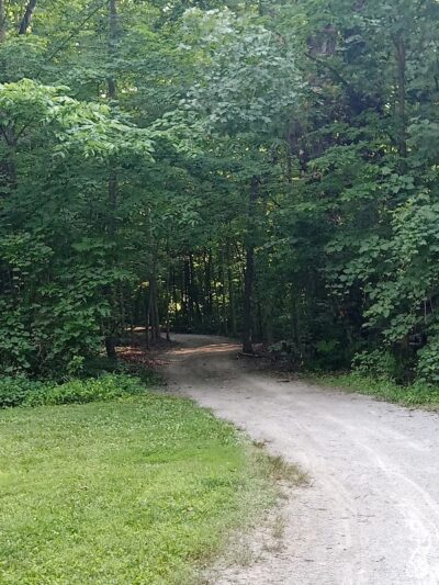McLean Teddy Bear Park - Lima, OH