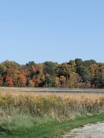 McLean Teddy Bear Park - Lima, OH